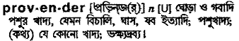 Provender in Bangla Academy Dictionary