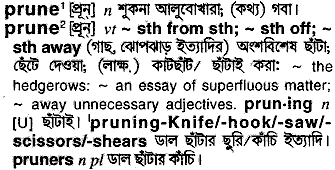 Prune in Bangla Academy Dictionary