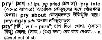 Pry in Bangla Academy Dictionary
