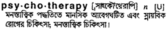 Psychotherapy in Bangla Academy Dictionary