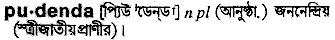 Pudenda in Bangla Academy Dictionary