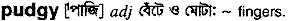 Pudgy in Bangla Academy Dictionary