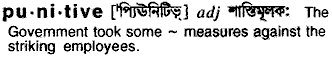 Punitive in Bangla Academy Dictionary