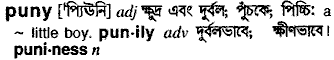Puny in Bangla Academy Dictionary
