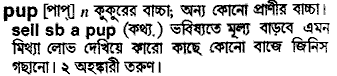 Pup in Bangla Academy Dictionary