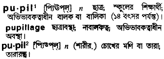 Pupil in Bangla Academy Dictionary