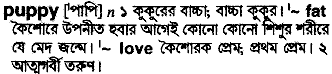 Puppy in Bangla Academy Dictionary