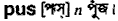 Pus in Bangla Academy Dictionary