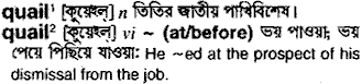 Quail in Bangla Academy Dictionary
