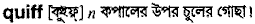 Quiff in Bangla Academy Dictionary