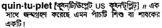 Quintuplet in Bangla Academy Dictionary