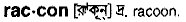 Raccon in Bangla Academy Dictionary