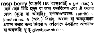 Raspberry in Bangla Academy Dictionary
