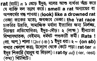 Rat in Bangla Academy Dictionary