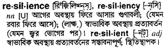 Resilience in Bangla Academy Dictionary