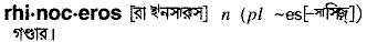 Rhinoceros in Bangla Academy Dictionary