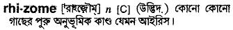 Rhizome in Bangla Academy Dictionary