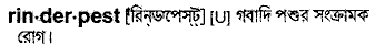 Rinderpest in Bangla Academy Dictionary