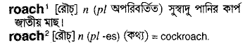 Roach in Bangla Academy Dictionary