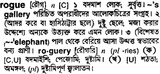 Rogue in Bangla Academy Dictionary