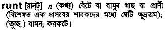 Runt in Bangla Academy Dictionary