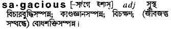 Sagacious in Bangla Academy Dictionary