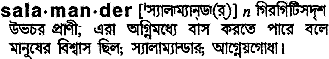 Salamander in Bangla Academy Dictionary