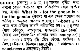 Sauce in Bangla Academy Dictionary