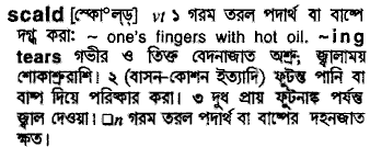 Scald in Bangla Academy Dictionary