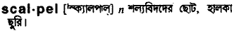 Scalpel in Bangla Academy Dictionary