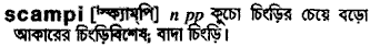 Scampi in Bangla Academy Dictionary