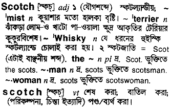 Scotch in Bangla Academy Dictionary