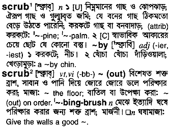 Scrub in Bangla Academy Dictionary