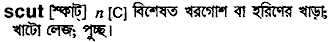 Scut in Bangla Academy Dictionary