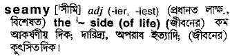 Seamy in Bangla Academy Dictionary