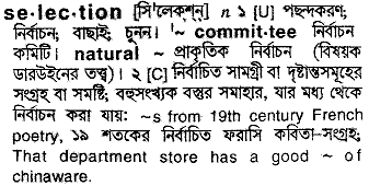 Selection in Bangla Academy Dictionary