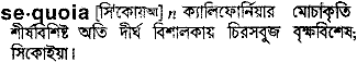 Sequoia in Bangla Academy Dictionary