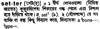 Setter in Bangla Academy Dictionary