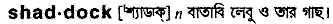 Shaddock in Bangla Academy Dictionary