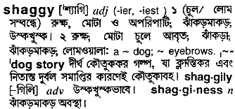 Shaggy in Bangla Academy Dictionary