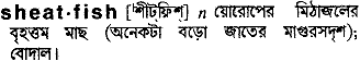 Sheatfish in Bangla Academy Dictionary