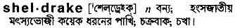Sheldrake in Bangla Academy Dictionary