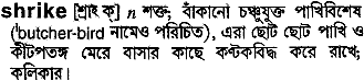 Shrike in Bangla Academy Dictionary