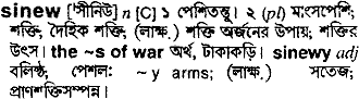 Sinew in Bangla Academy Dictionary