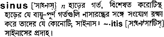 Sinus in Bangla Academy Dictionary