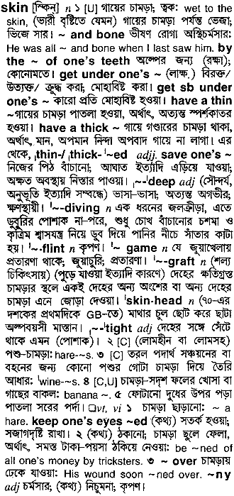 Skin in Bangla Academy Dictionary