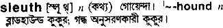 Sleuth in Bangla Academy Dictionary