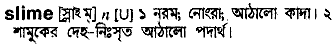 Slime in Bangla Academy Dictionary