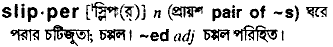 Slipper in Bangla Academy Dictionary