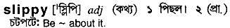 Slippy in Bangla Academy Dictionary